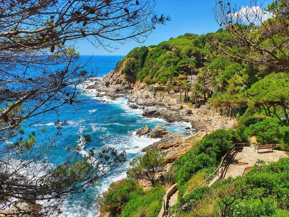 Hostal Mozaik Lloret Lloret de Mar Pensionat